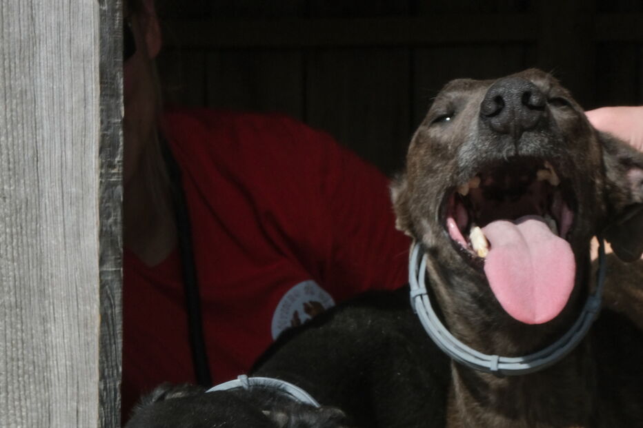 2020-03-12_12_56_59 34047131.jpg