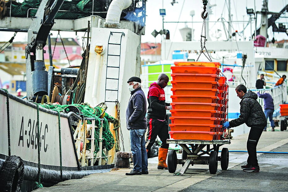 Na semana passada, o pescado ainda estava a chegar às lotas. Preço tem oscilado em função da procura e tempo