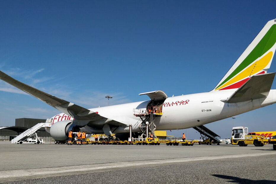 Primeiro avião com equipamento médico já chegou ao Porto	