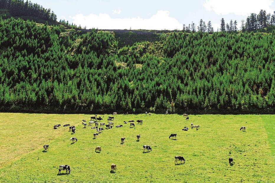 2020-03-28_17_21_31 Imagem 16926519.jpg