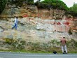 Um cone ovulífero de conífera foi recolhido na jazida fossilífera de Catefica, na região de Torres Vedras