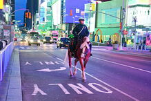 Cidade de Nova Iorque