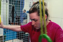 Marta foi baleada na cabeça devido a um ataque de ciúmes