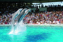 Zoo