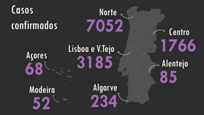 Número de infetados por coronavírus em Portugal sobe para 12442. Veja os dados atualizados