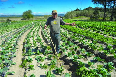 Pequenos produtores têm sentido dificuldades em escoar produtos.