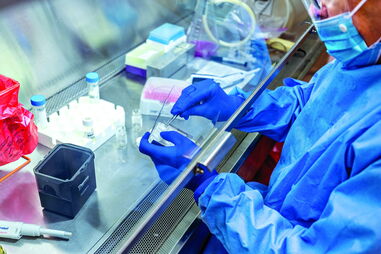 Vacinas contra a Covid-19 evitaram 12 mil mortes em Portugal