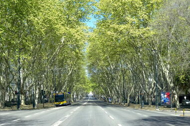 Avenida da Liberdade regista valores históricos na qualidade do ar. Menor taxa média de dióxido de azoto do século