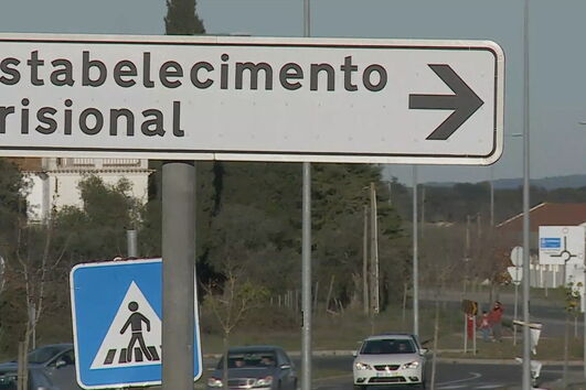 Incêndio consome zona de mato em Algueirão-Mem Martins