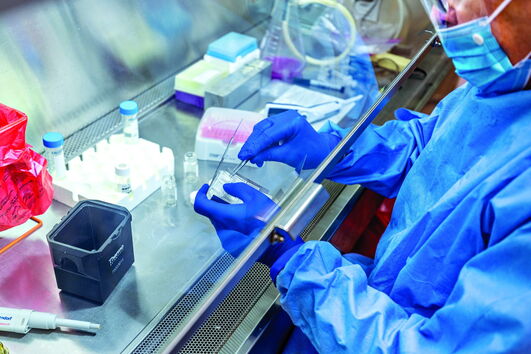 Vacinas contra a Covid-19 evitaram 12 mil mortes em Portugal