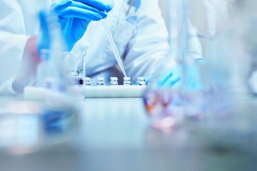 Investigação ao coronavírus