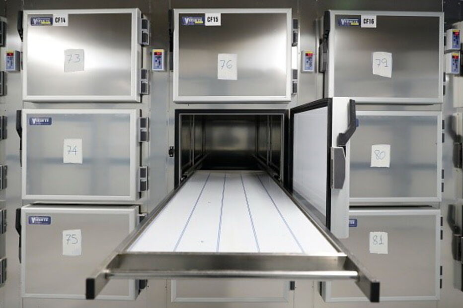 Uma lição trágica para o Mundo: Espanha improvisa duas morgues para vítimas do coronavírus