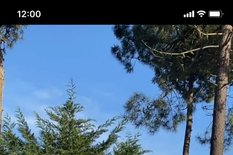 April Ivy e Ruben Dias