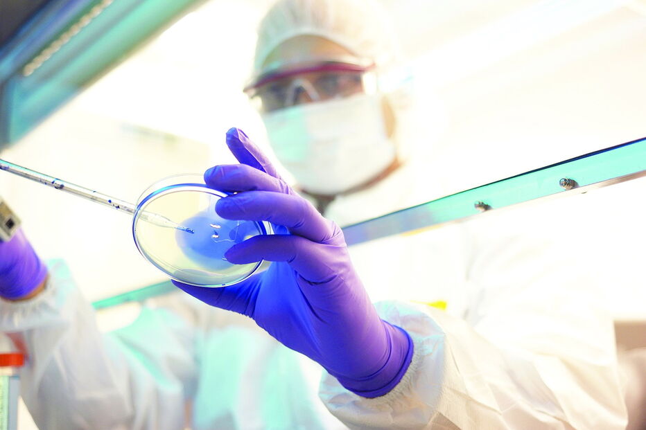 Investigação ao coronavírus