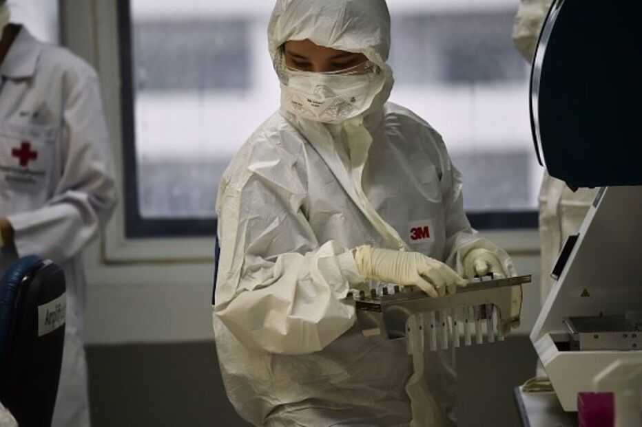 Laboratório de Wuhan testou coronavírus em morcegos em projeto financiado pelos Estados Unidos