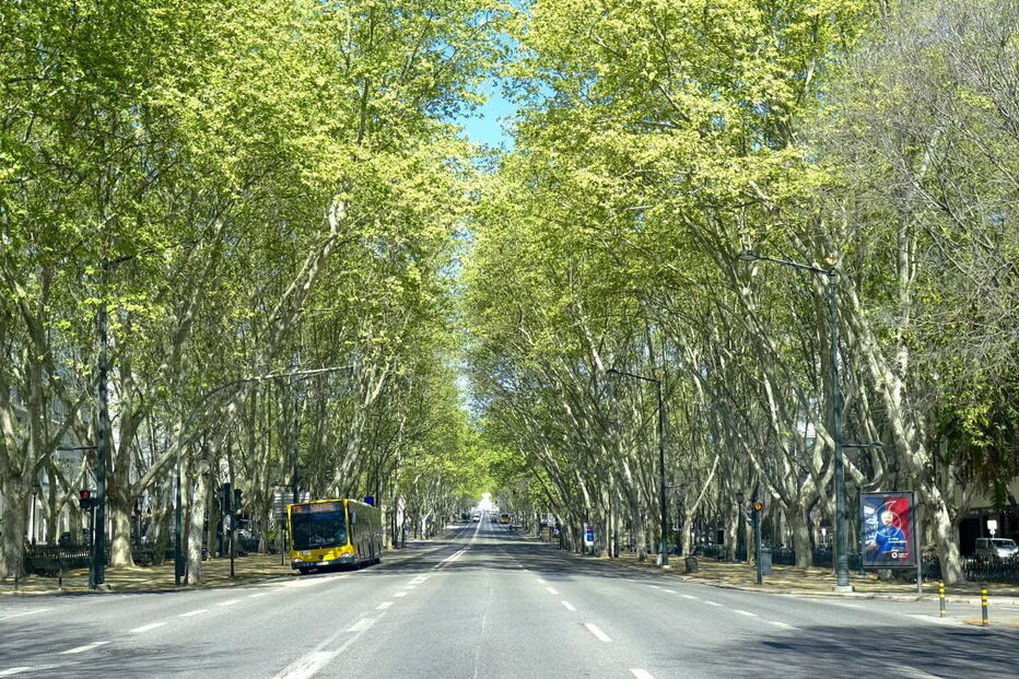 Avenida da Liberdade regista valores históricos na qualidade do ar. Menor taxa média de dióxido de azoto do século
