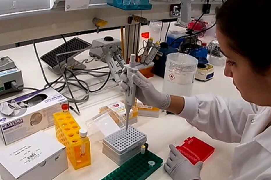 Cientistas trabalham dia e noite para encontrar cura para o coronavírus