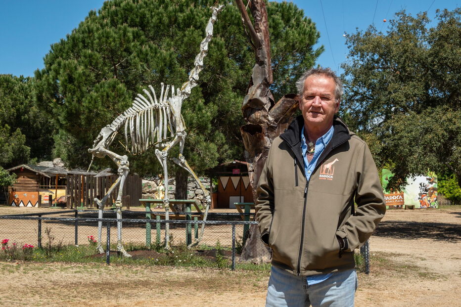 Francisco Simões de Almeida