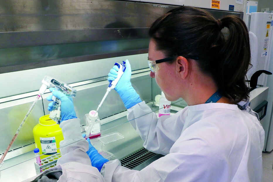 Investigação ao coronavírus