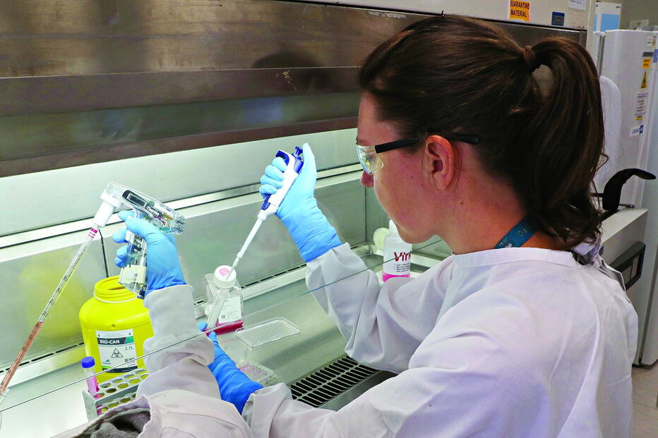 investigação ao coronavírus