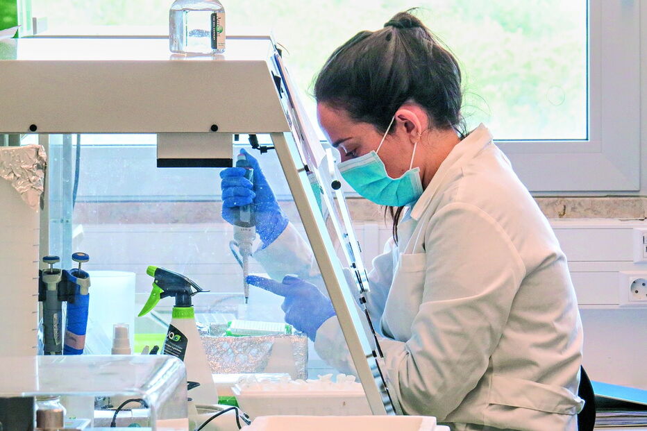 Testes ao coronavírus