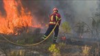 Treze concelhos de Faro, Bragança e Portalegre em risco muito elevado de incêndio