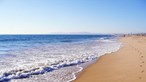 Praia Formosa em Torres Vedras interditada devido a baleia morta