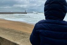 Maria Cerqueira Gomes