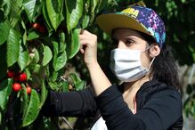 Máscaras e viseiras 