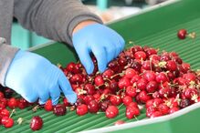 Máscaras e viseiras 