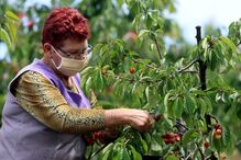 Máscaras e viseiras 
