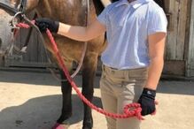 2020-05-08_17_21_54 28004324-8286539-Harper_got_a_7_000_pony_for_her_birthday_in_2018_which_is_stable-a-8_1588661469453.jpg