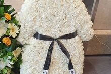 2020-05-10_11_37_16 goncalodinizz_97078295_270360197423158_3763265521360031446_n.jpg