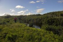 As imagens do quarto dia de buscas por Valentina que terminaram com o pai a confessar que matou a menina