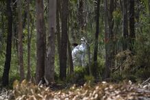 2020-05-10_15_43_22 34705793.jpg