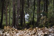 2020-05-10_15_43_23 34705797.jpg