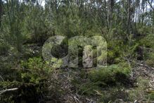 2020-05-10_15_43_25 34706689.jpg