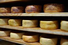 2020-05-12_18_02_32 5.jpg