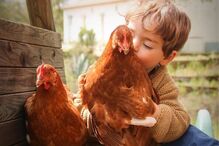 2020-05-15_20_21_08 95077448_2719101634990055_1271031303680571183_n.jpg