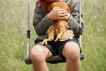 2020-05-15_20_21_11 95355795_244507436904298_6116897076403444441_n.jpg