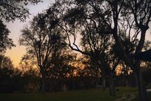 2020-05-22_17_03_34 90995423_2586397221617472_2591564897569837819_n.jpg