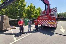 Bombeiros resgatam gatos bebés de ecoponto em Vila Nova de Famalicão  