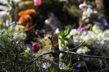 Memorial de Valentina