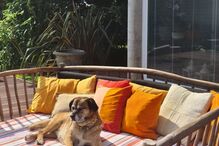 2020-05-30_14_32_35 mlgoucha_101222108_143928610554331_7340575482823723406_n (1).jpg