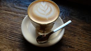 O projeto luso-timorense que quer encontrar um novo 'hibrido' para salvar o café mundial