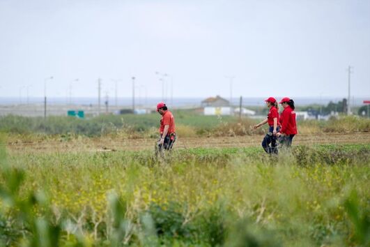 2020-05-08_14_13_24 34688552.jpg