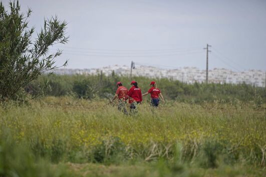 2020-05-08_14_13_31 34690889.JPG