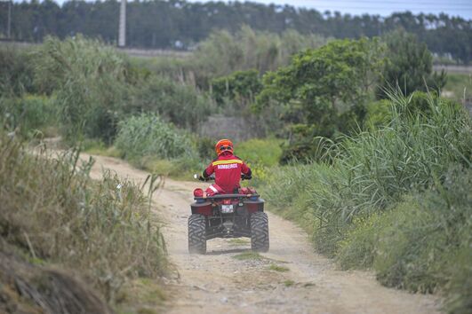 2020-05-08_14_13_31 34690890.JPG