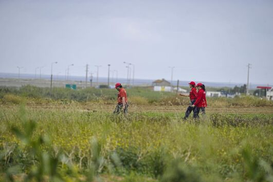 2020-05-08_14_13_39 34690895.JPG