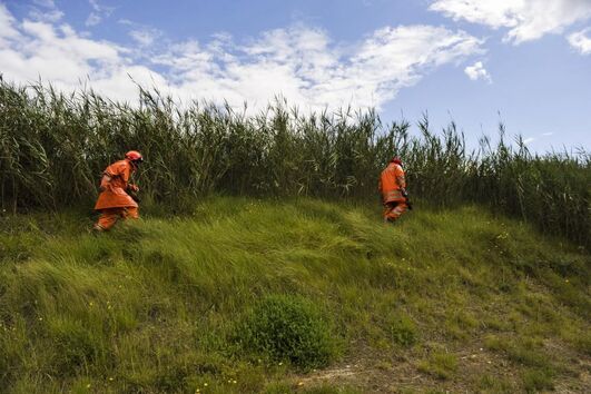 2020-05-09_17_08_10 34699529.jpg